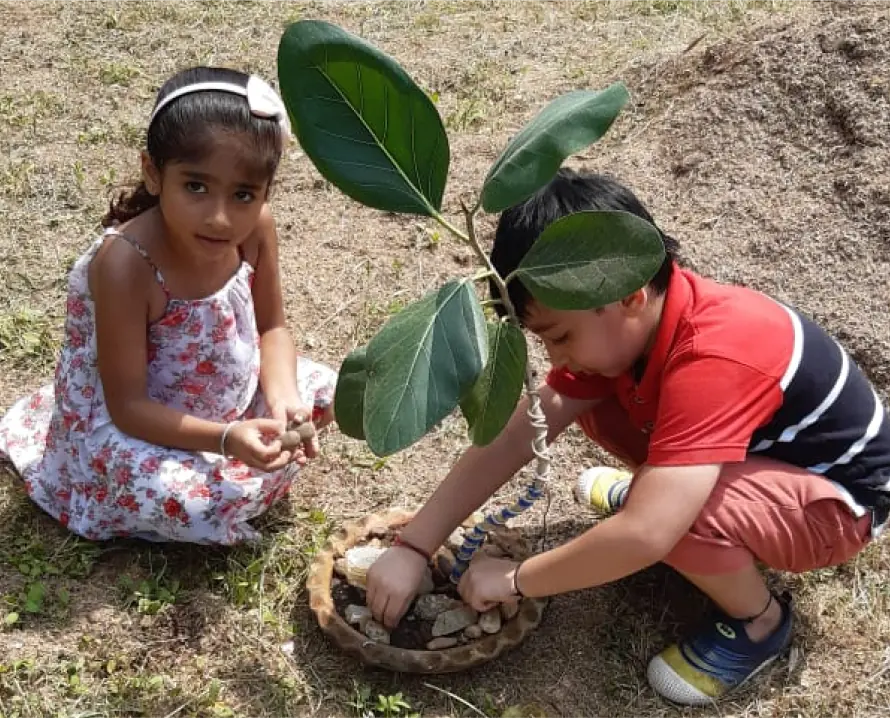 children-tree-plantation