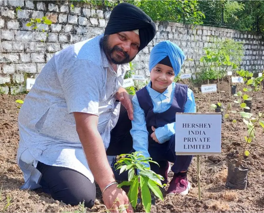 hershey-india-tree-plantation